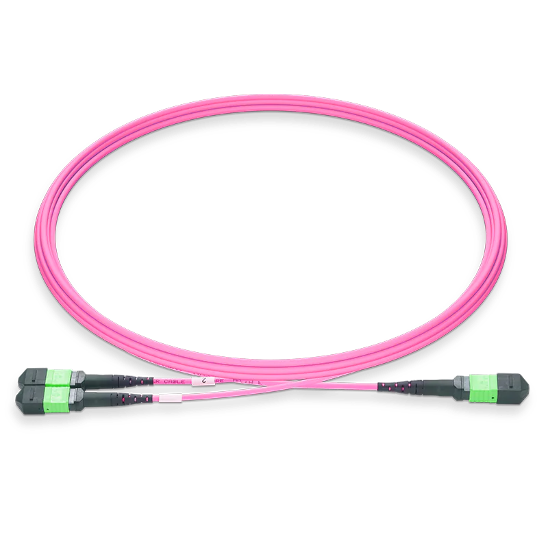 Navidia Fiber Optic Network Cable for Network Device - Second End: 2 x MPO-12/APC - Network