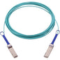 Fiber Optic Network Cable for Network Device - 100 Gbit/s - LSZH