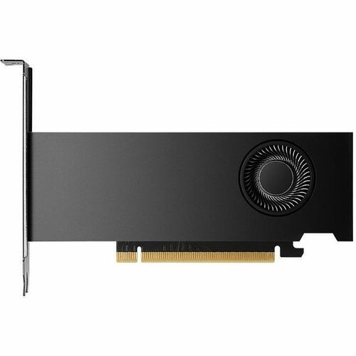 PNY NVIDIA RTX 2000 Ada Generation Graphics Card