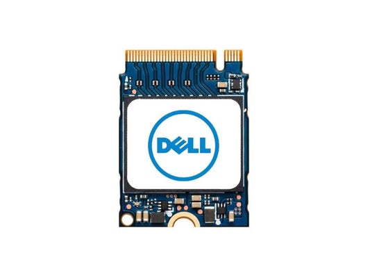 Dell 512 GB Rugged Solid State Drive - M.2 2230 Internal