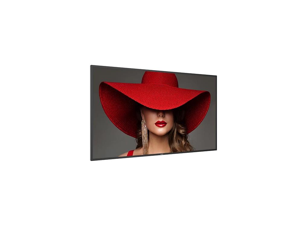 Philips D-Line Display Series 55" UHD 4K Commercial Monitor