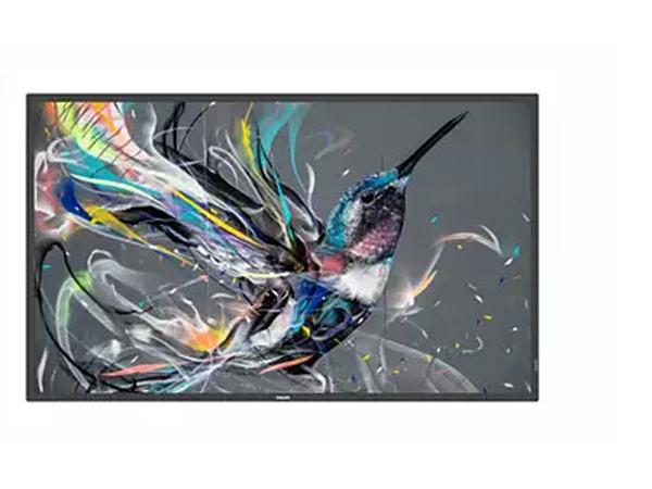  Philips D-Line Professional 4K UHD display