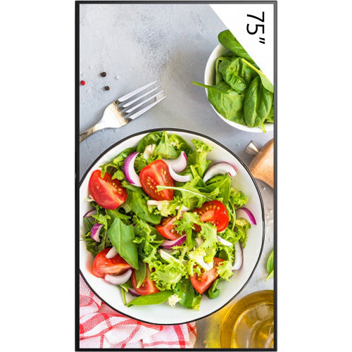 Sony Bravia Professional Displays FW-75BZ35L BZ35L Series - 75" LED-backlit LCD display - 4K