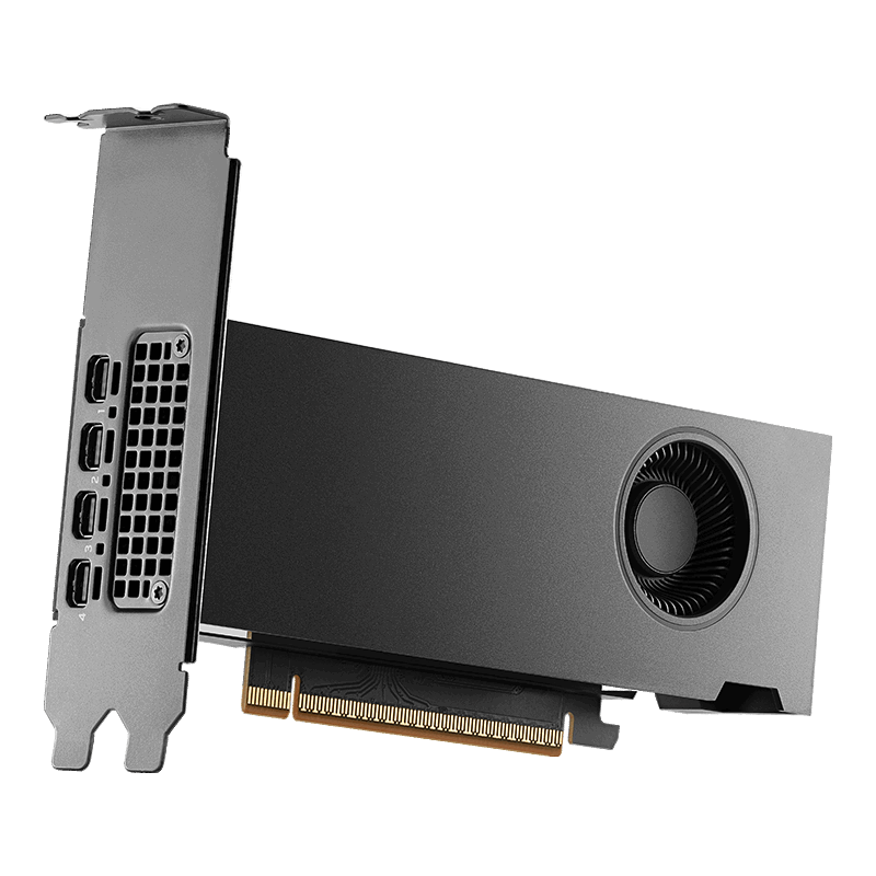 NVIDIA RTX PRO 2000 Blackwell Generation Graphics Card (OEM)