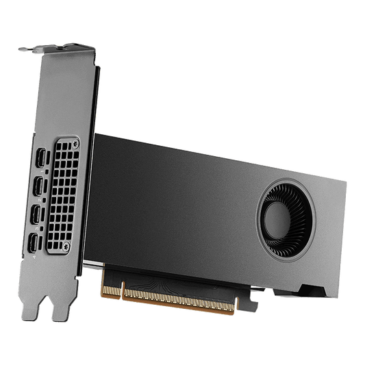 NVIDIA RTX PRO 2000 Blackwell Generation Graphics Card (OEM)
